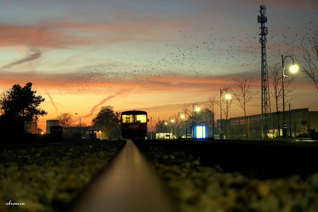 Zdjęcie ilustruje przejazdy koleją wąskotorową w Pleszewie - wagon spalinowy